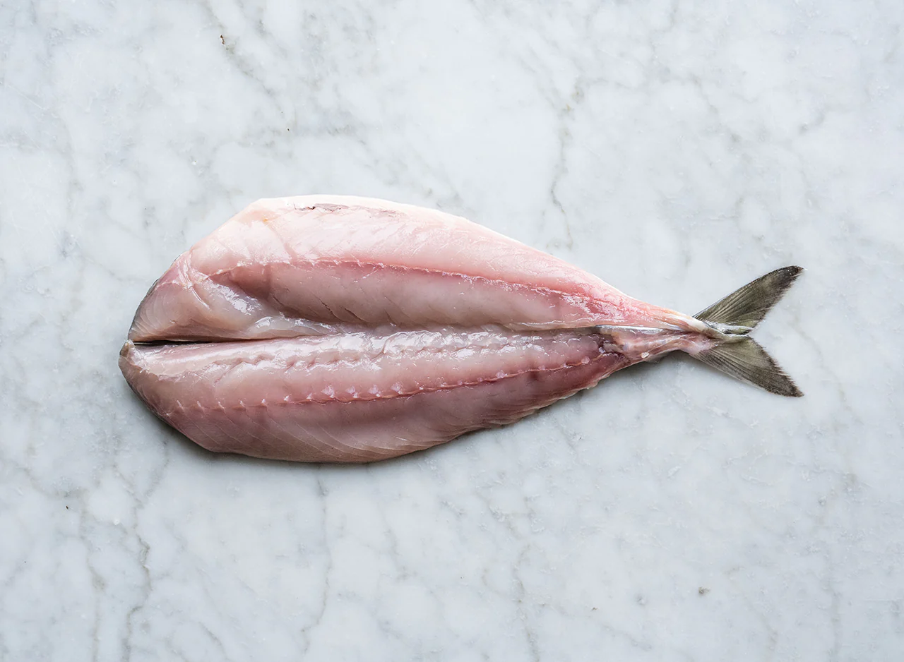 Butterfly Mackerel x 1 - Image 3