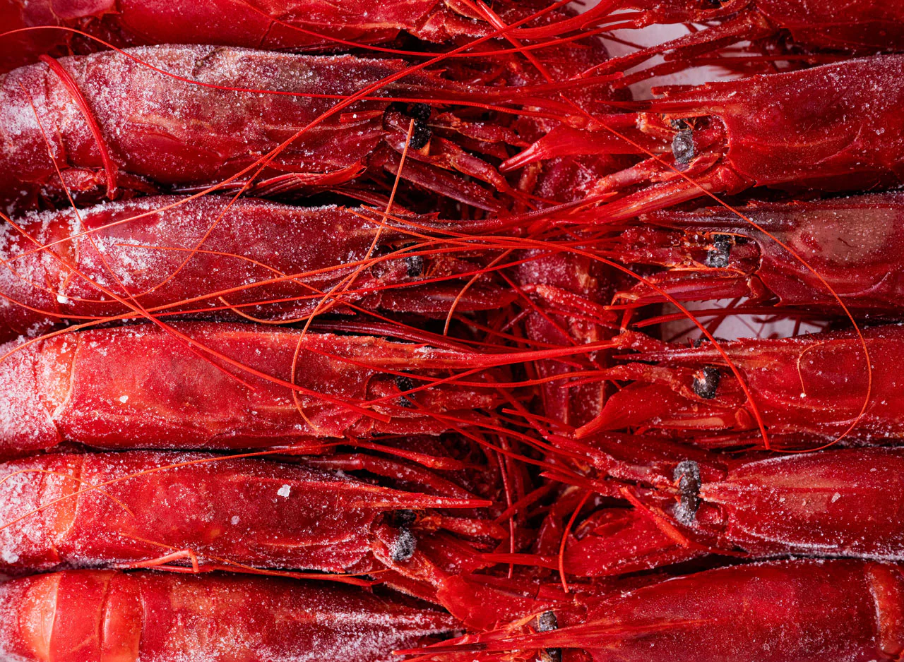 Carabineros - Image 3
