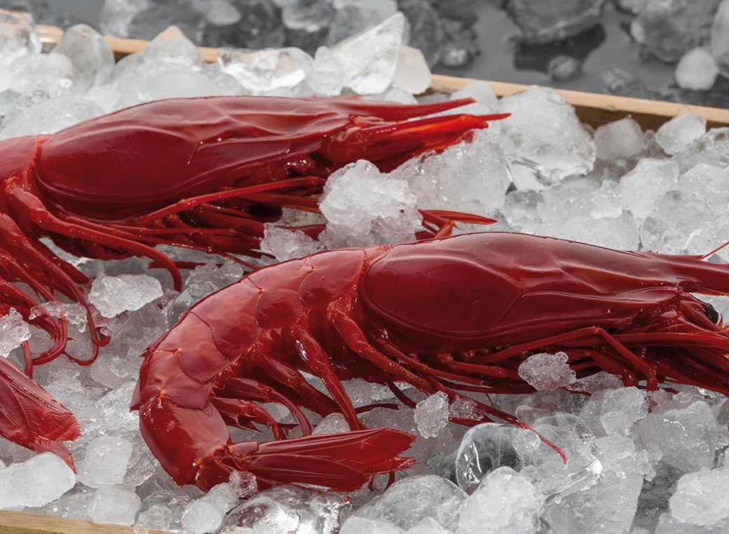 Carabineros - Image 5