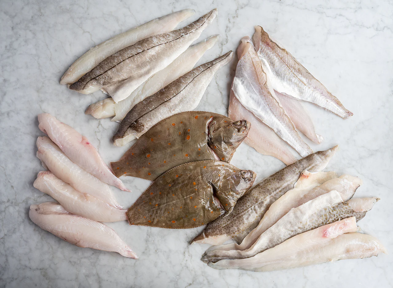 Catch of the Day Fish Box - Image 2