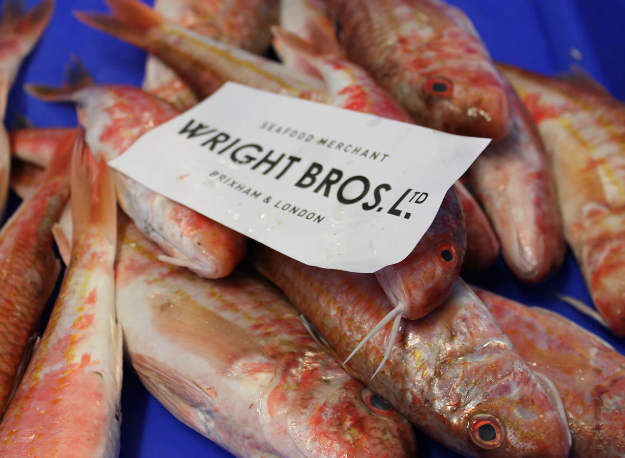Catch of the Day Fish Box - Image 6
