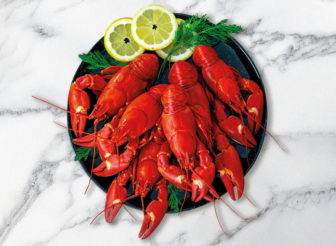 Crayfish - Image 3