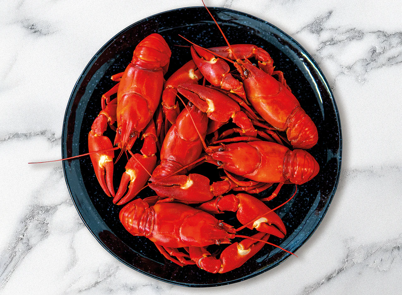 Crayfish - Image 4