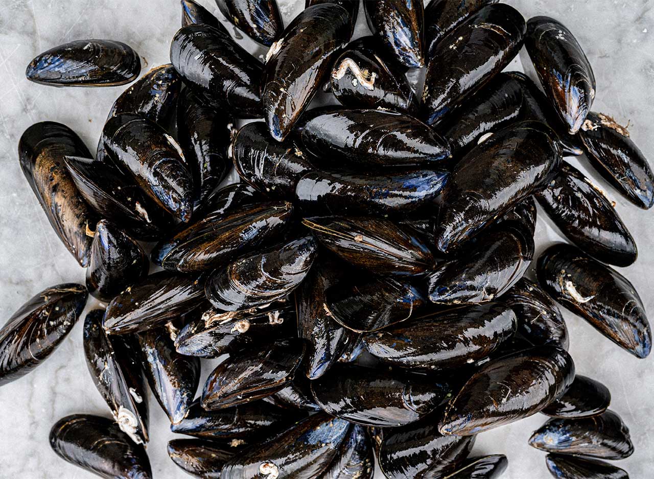 Fresh Live Mussels 900g to 1kg - Image 3
