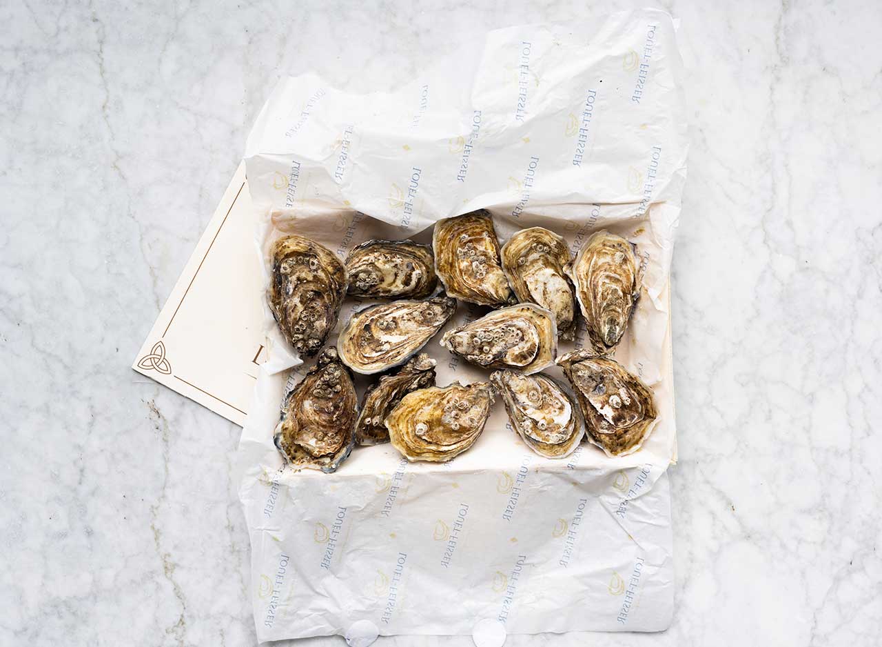 Louët-Feisser Oysters x 12 - Image 2