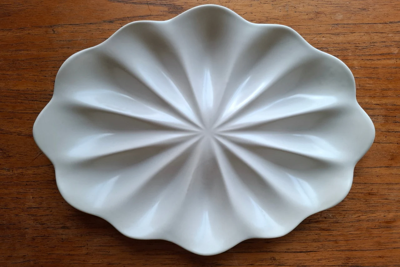 Dozen Oyster Serving Plate - Image 2