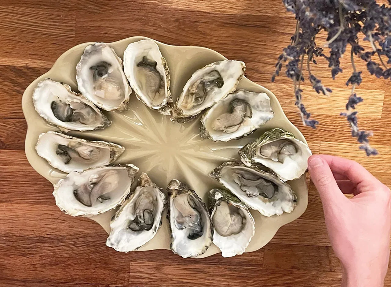 Dozen Oyster Serving Plate - Image 4