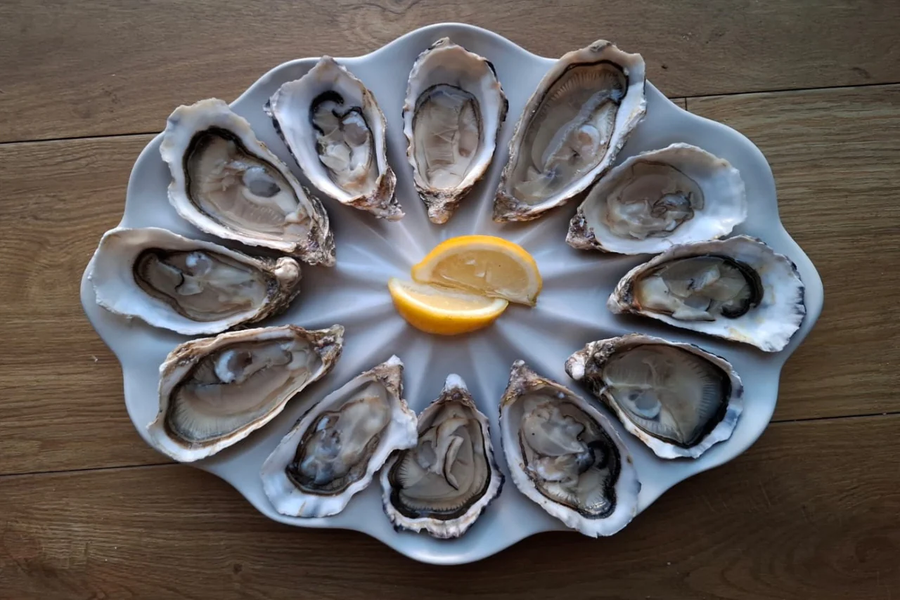 Dozen Oyster Serving Plate - Image 5