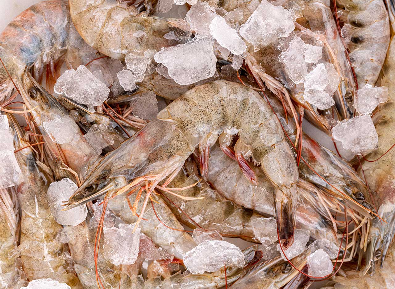 Raw Shell-on King Prawns - Image 4
