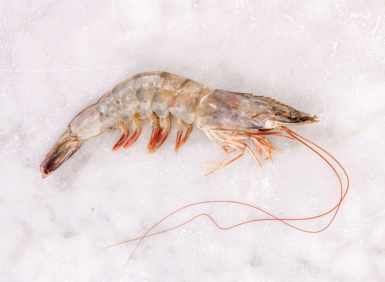 Raw Shell-on King Prawns - Image 5