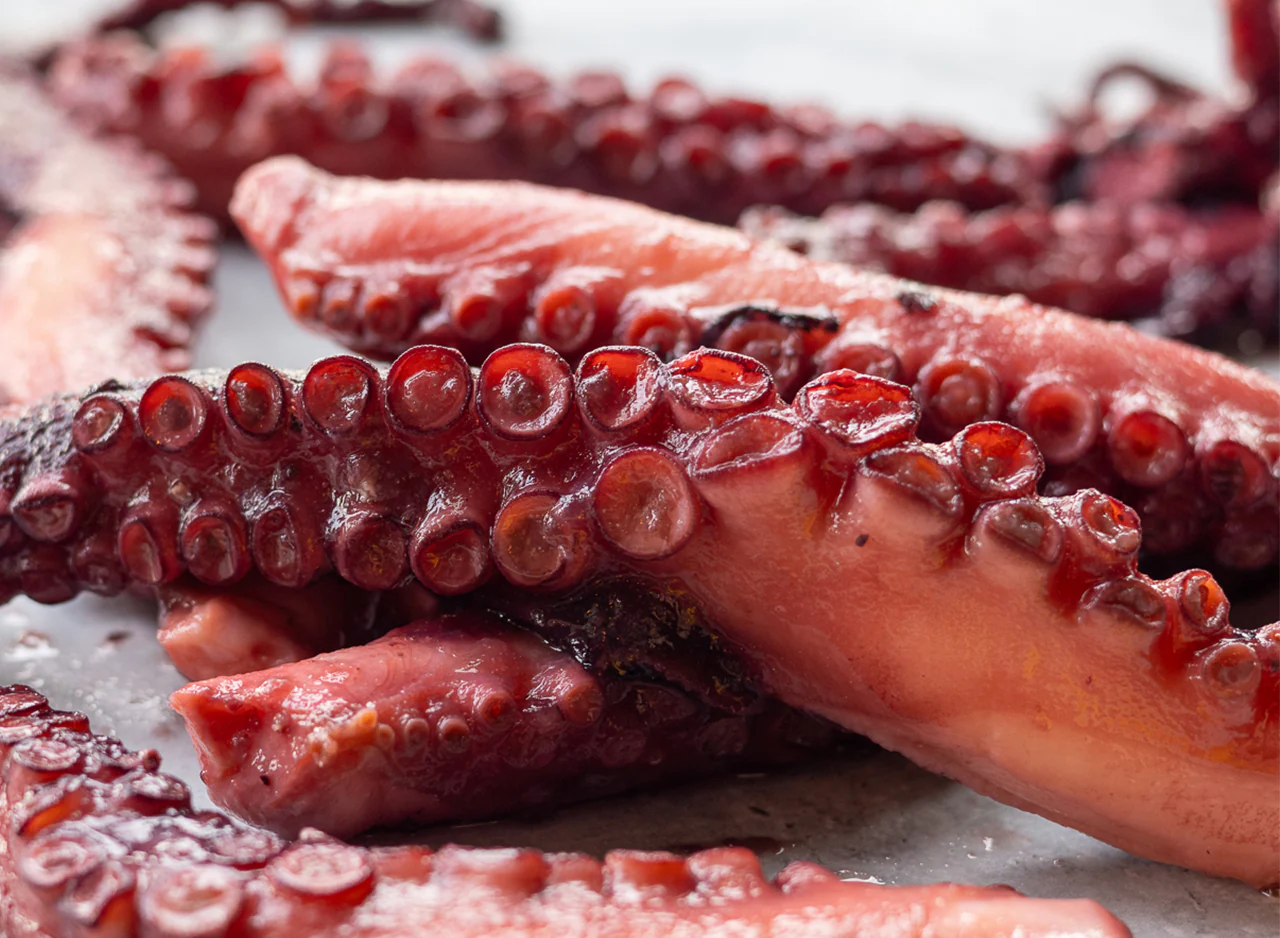 Cooked Whole Octopus - Image 3