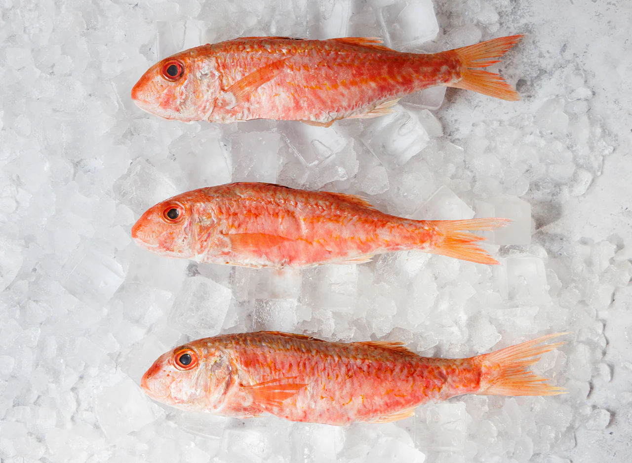 Whole Red Mullet