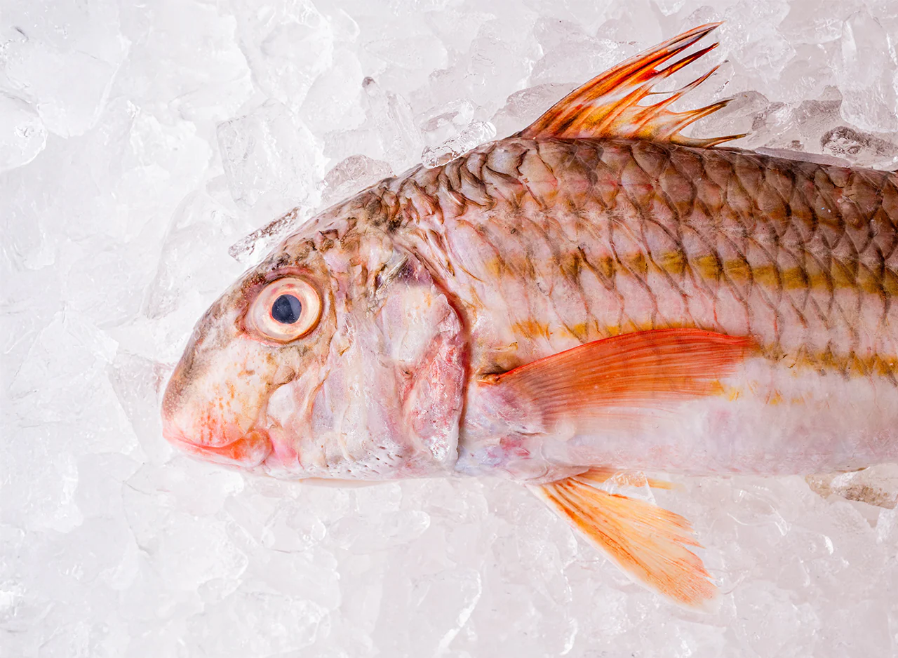 Whole Red Mullet - Image 2