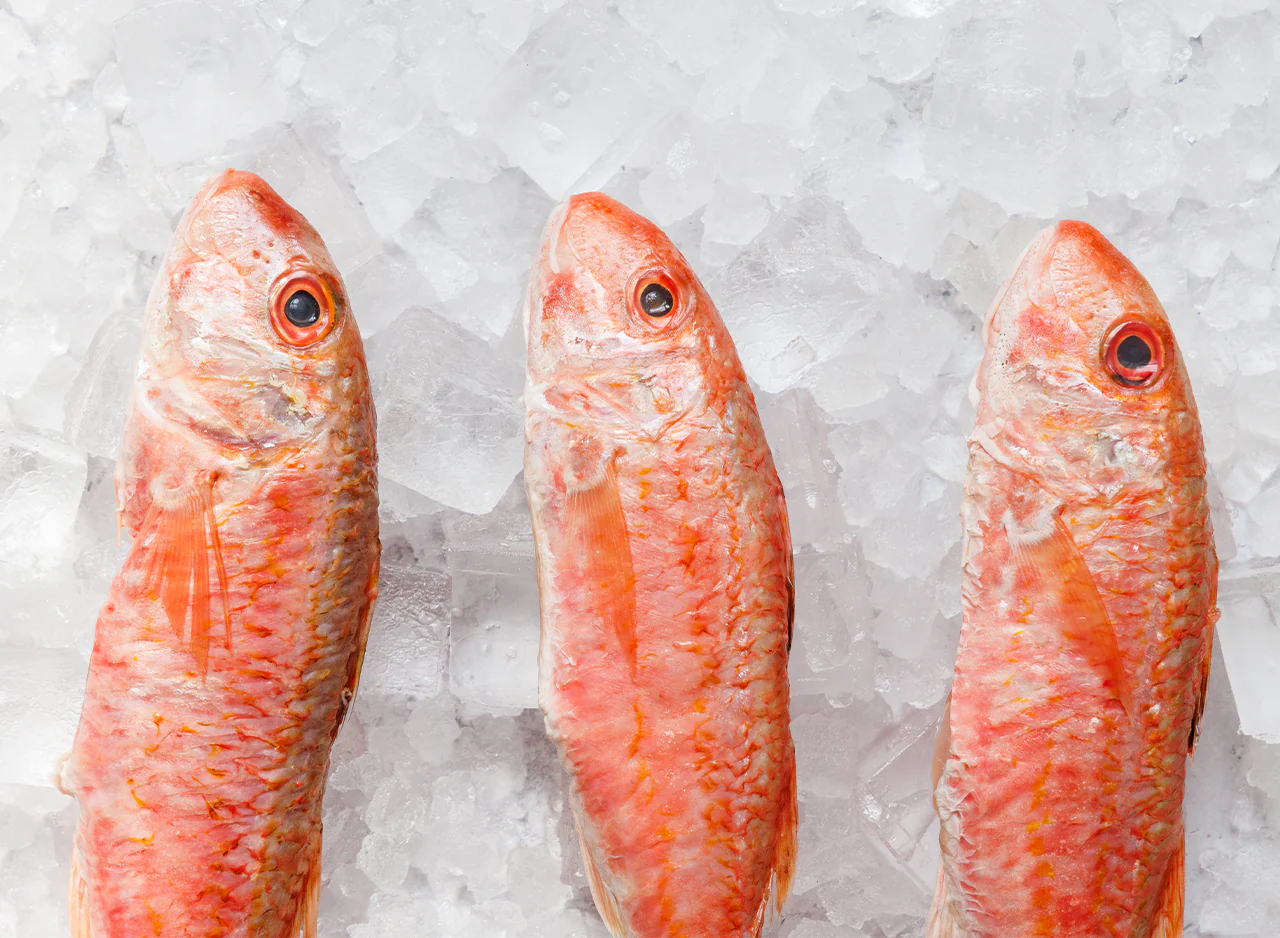 Whole Red Mullet - Image 4