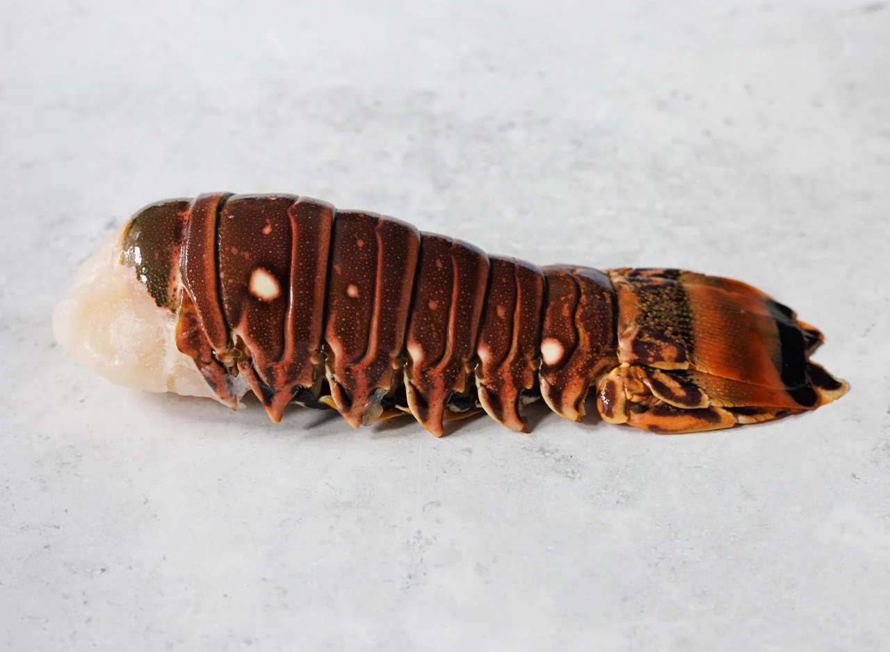 Wild Caribbean Rock Lobster Tail - Image 3